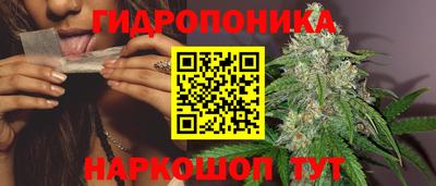 ALPHA PVP Ижевск